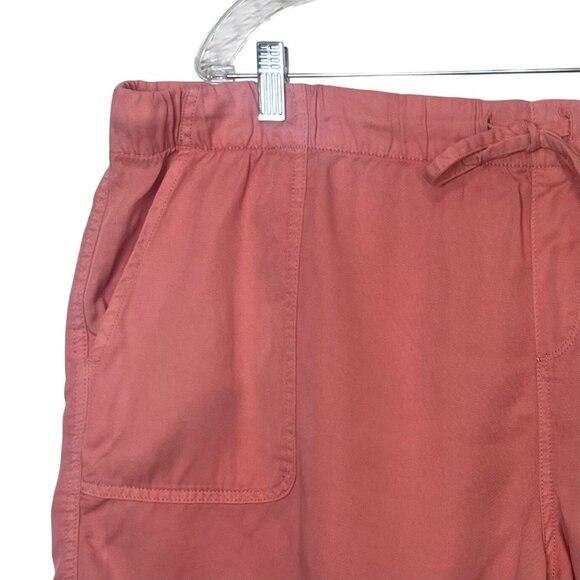 Gap Womens Drawstring Shorts Strawberry Ice Pink Casual Lightweight Size XXL New - Picture 5 of 12